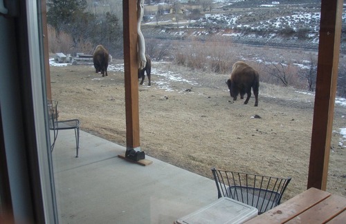 Gardiner House | Yellowstone Riverbend Cabin - Waterfront + Wildlife! 3 miles from Gardiner!