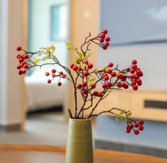 Guomao Apartment | Yise Serviced Apartment -Beijing CCTV Shop