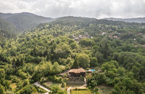 Dhomnista Hotel | Yliessa Chalet