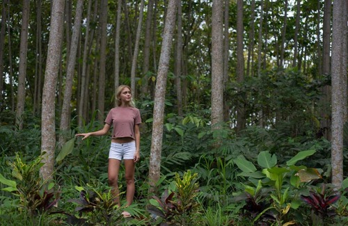 Gianyar Resort | Yoga Amertham Retreat & Resort