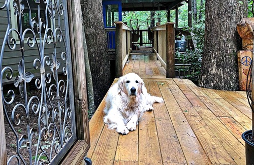 Blairsville House | Yoga & Peaceful, Elegant, Bohemian Vibes Surrounded by Forest