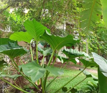 Habarana Apartment | Yonara Green Rest