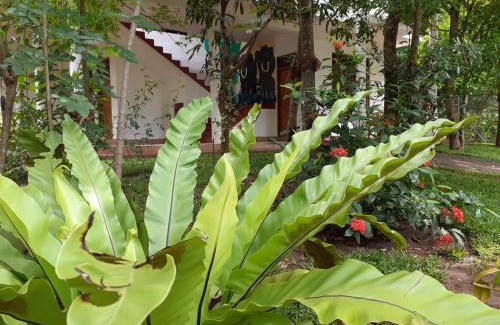 Habarana Apartment | Yonara Green Rest