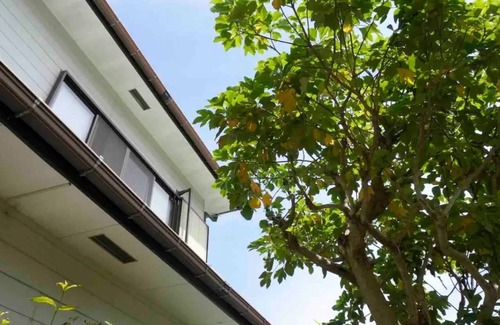 Miyakami House | You can stay with your dog Welcome to a house in - Whole house rental /Atami Shizuoka