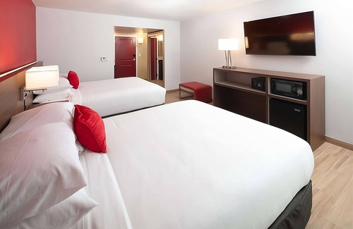 Kissimmee Hotel | You Found it! Free Parking Onsite, Pet-friendly Property, Outdoor Pools