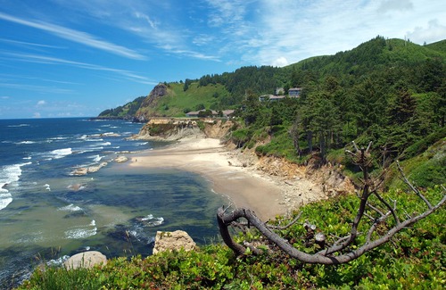 Newport Hotel | You Found it! Newport Getaway! Free Parking, Pets Allowed, Minutes To Nye Beach!