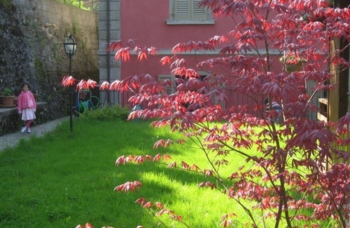 Saturnana Villa | Your base in Tuscany! Wonderful house, wifi free, children free, jacuzzi