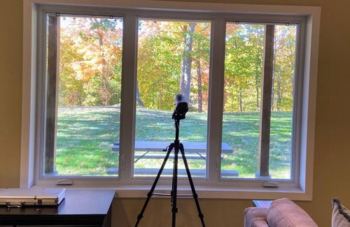 Calabogie Cottage | Your Cozy Cottage Escape in Calabogie