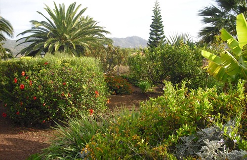 Tejina Cottage | Your Island Finca El Picacho C