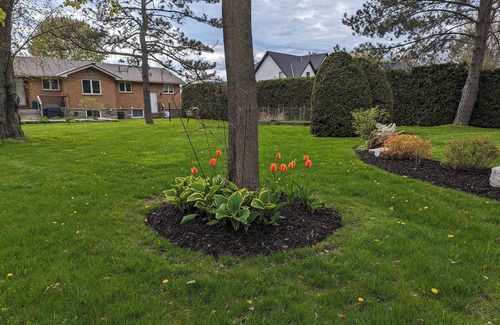 Ramara House | Your perfect waterfront getaway for 4 season. Near Casino Rama and Moonstone Ski