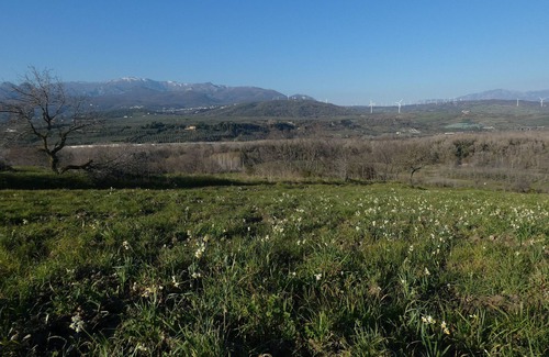 Serre House | Your Refuge in Cilento Park: Among Nature, History, and Relaxation