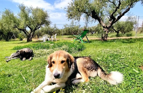 Kakovatos House | Your Spot Guestrooms and more