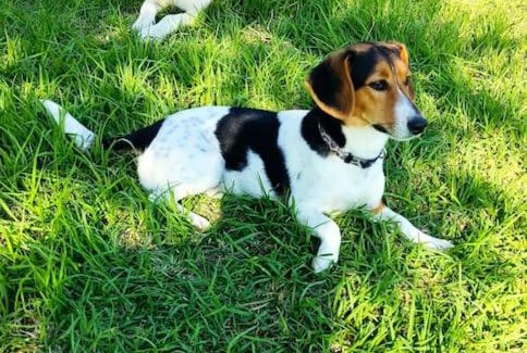 Kakovatos House | Your Spot Guestrooms and more