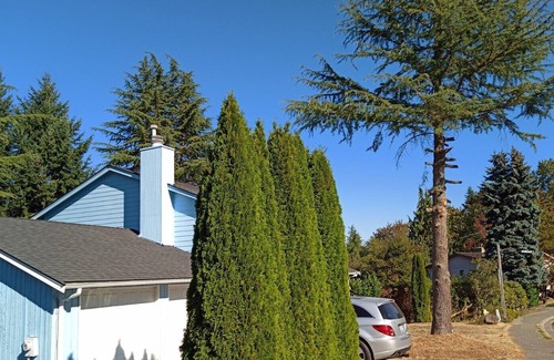 Bellevue House | Your Sweet Home @ Somerset Bellevue, a sought after place near golf club, shops!
