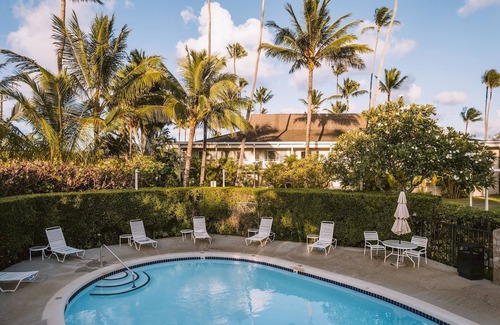 Wailua Apartment | Your Unbeatable Experience! Amazing Suite + Kitchen | Close to Local Attraction