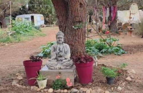 Nyls Cabin | Yourte 20 Cuisine Douche Extérieur Ferme et Toilette Séche Commun