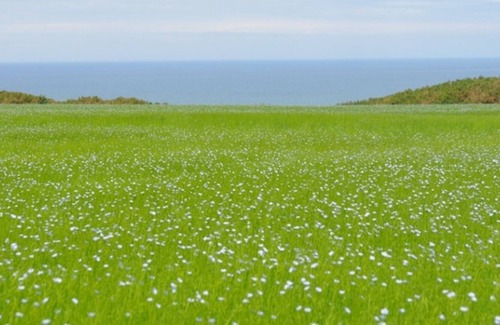 Yport House | Yport Inn, 5 bedrooms, sleeps 12