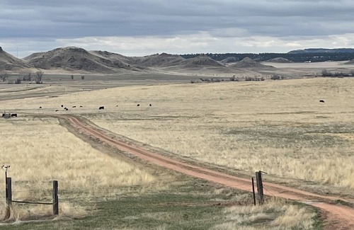 Olive Other | YT Bunkhouse - a peaceful and private ranch getaway!