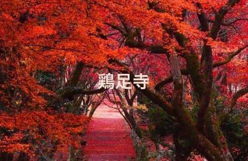 Nagahama Apartment | YURURIBASE 凛 -LakeBiwa,Nagahama