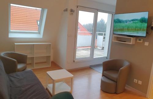 Eckbolsheim Apartment | Zénith Sky - Strasbourg