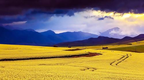 Caledon House | Zamar Guest House