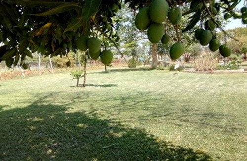 Livingstone Bed & Breakfast | Zambezi Way Lodge - Livingstone Zambia