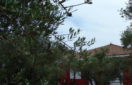 Kalpaki House | Zante Green View