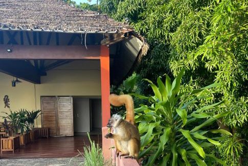 Nosy Be Hotel | Zara Village