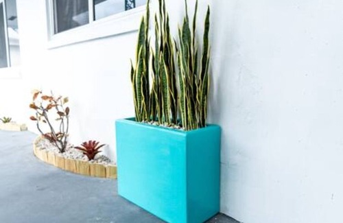 Central Corals Apartment | Zebra House Oasis, Ultimate Ft. Lauderdale Studio