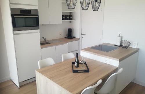 Oostduinkerke-Bad Apartment | Zeebriesje