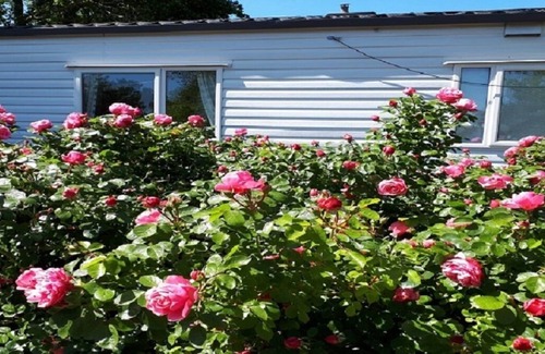Westenschouwen Ski Chalet | Zeeland, Ouddorp, Goedereede, 1-5 p. Mobilheim mit privatem Gartenstrand
