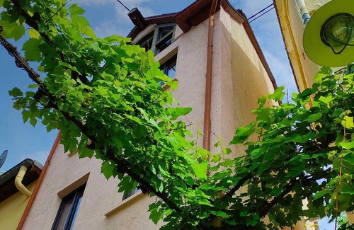 Zell Apartment | Zeller Kehr - exceptional house with a great view - Zeller Kehr