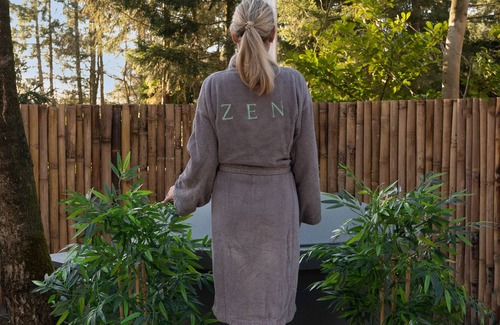 Rheezerveen House | ZEN-Bungalow no 1 with sauna and hottub