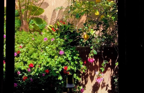 Morena House | Zen Vibes-private pool, spa, central location.