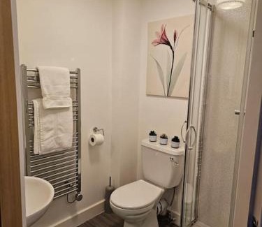 Preston Apartment | ZenZone Studio Flat