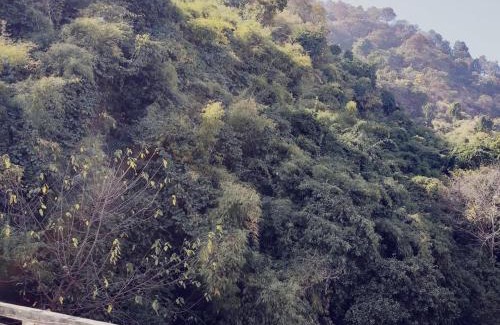 Gangtok Hotel | Zhinlao Mount Resort