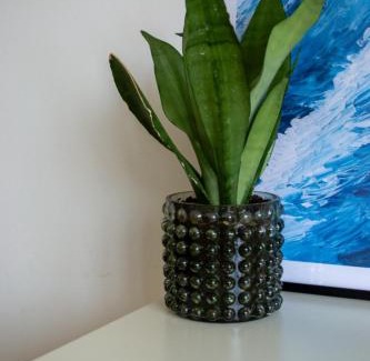 Vogelzang Apartment | ZILTE STILTE