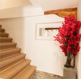 Lefkada Apartment | Ziv Boutique Apartments Town Square