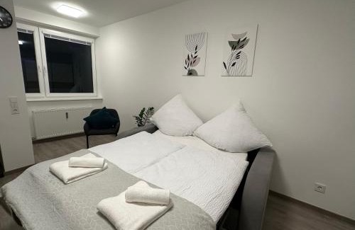 Zell am See Apartment | Zoe Apartment