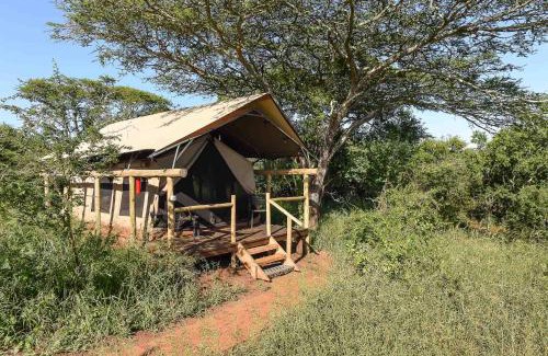 Hluhluwe Other | Zululand Lodge