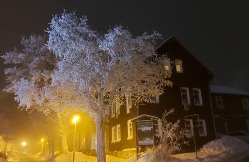 Oberhof Apartment | Zur alten Tischlerei