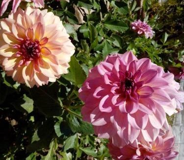 Luderitz House | Zur Waterkant Guesthouse