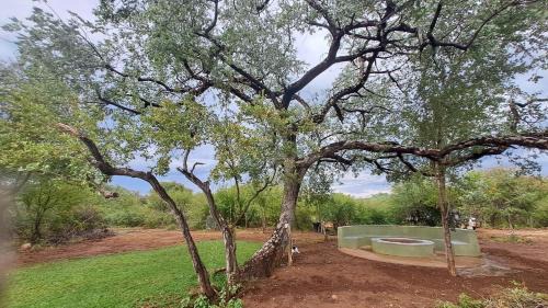 Tsumeb Other | ZuriCamp - Campsite Safiri