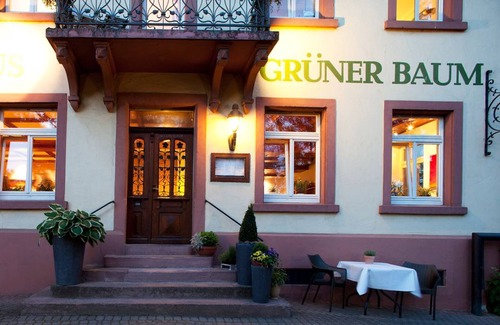 Merzhausen Apartment | Zweibettzimmer mit Dusche und WC