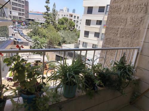 شقة مفروشة الدوار السابع خلف كوزمو
