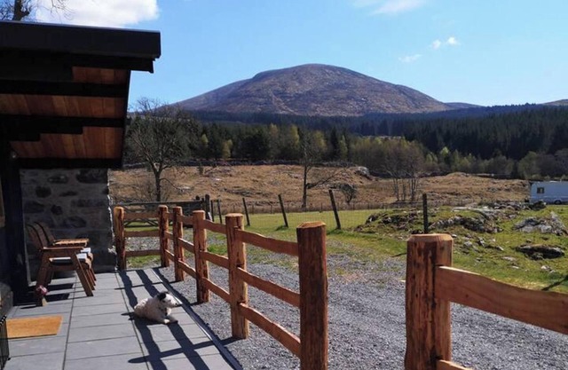 1 Bed Cabin in the Magical Galloway Forest Park