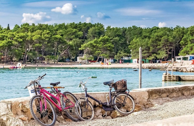 1 bedroom accommodation in Krk