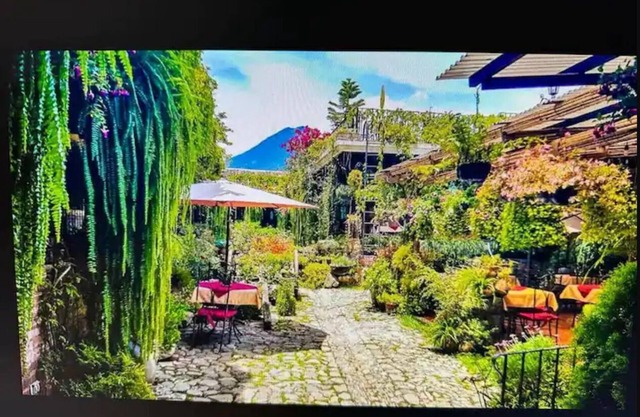1 bedroom apt #3