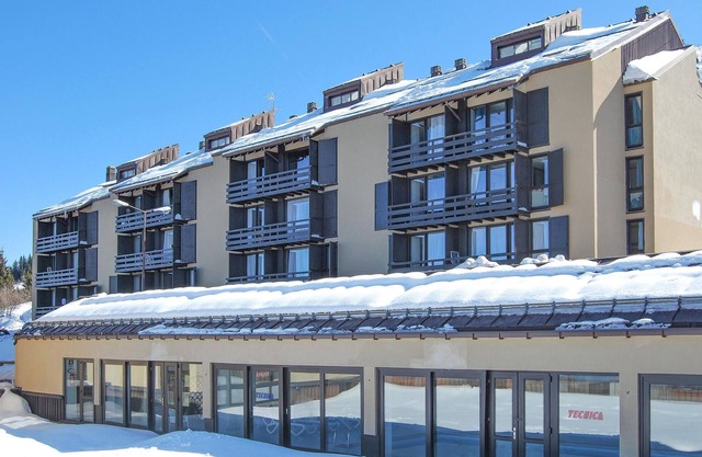 1 bedroom awesome apartment in Vason