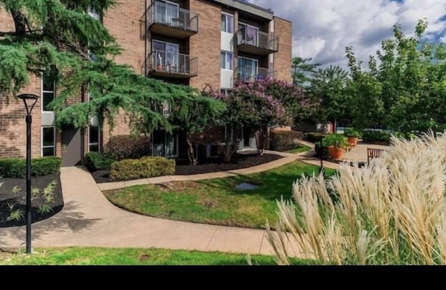 1 Bedroom Condo Near the heart of Alexandria